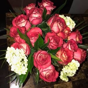 Meet your Posher, Olga